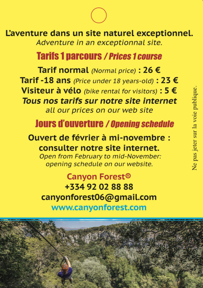 Canyon Forest