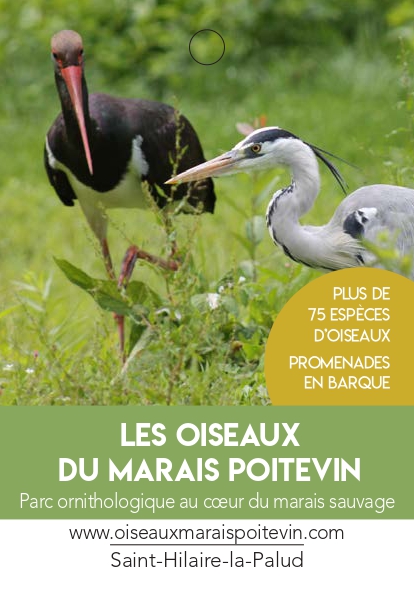 Les oiseaux du Marais Poitevin