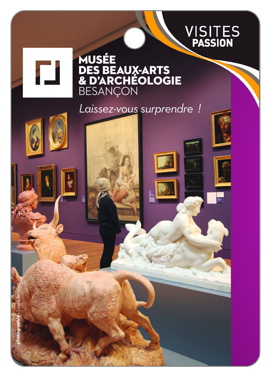 MUSÉE DES BEAUX ARTS ET D'ARCHÉOLOGIE de Besançon - Laissez vous surprendre !