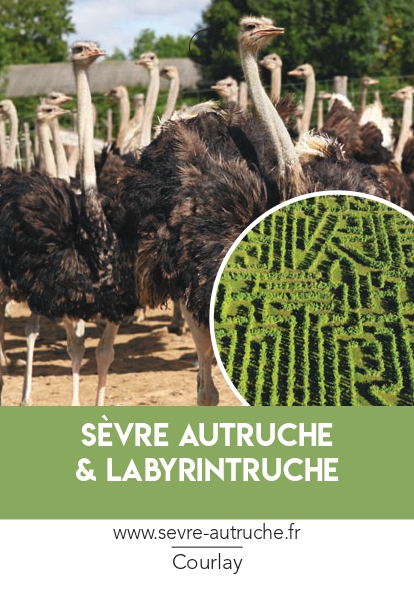 Sèvre Autruche & Labyrinthe