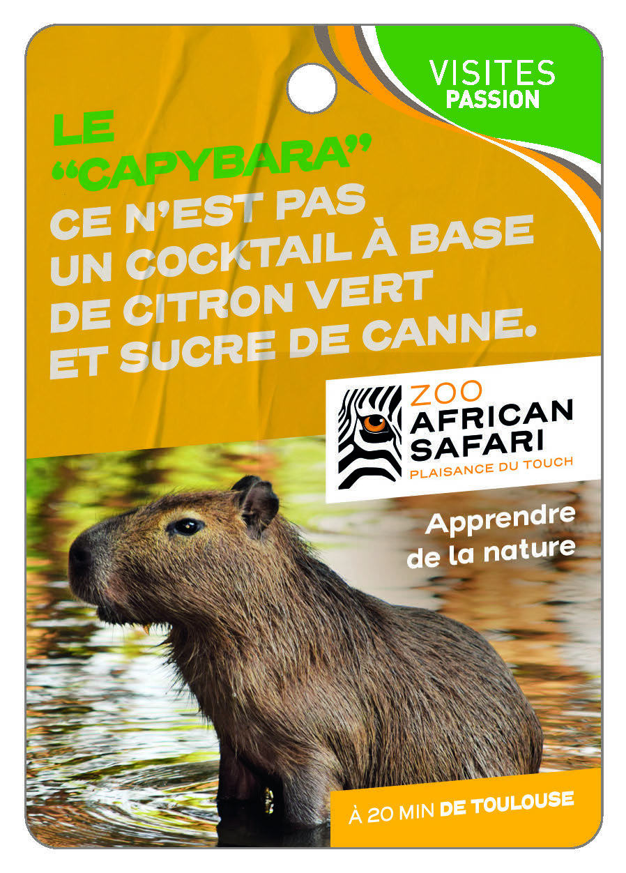 ZOO AFRICAN SAFARI - "CAPYBARA " ce n'est pas un Cocktail !