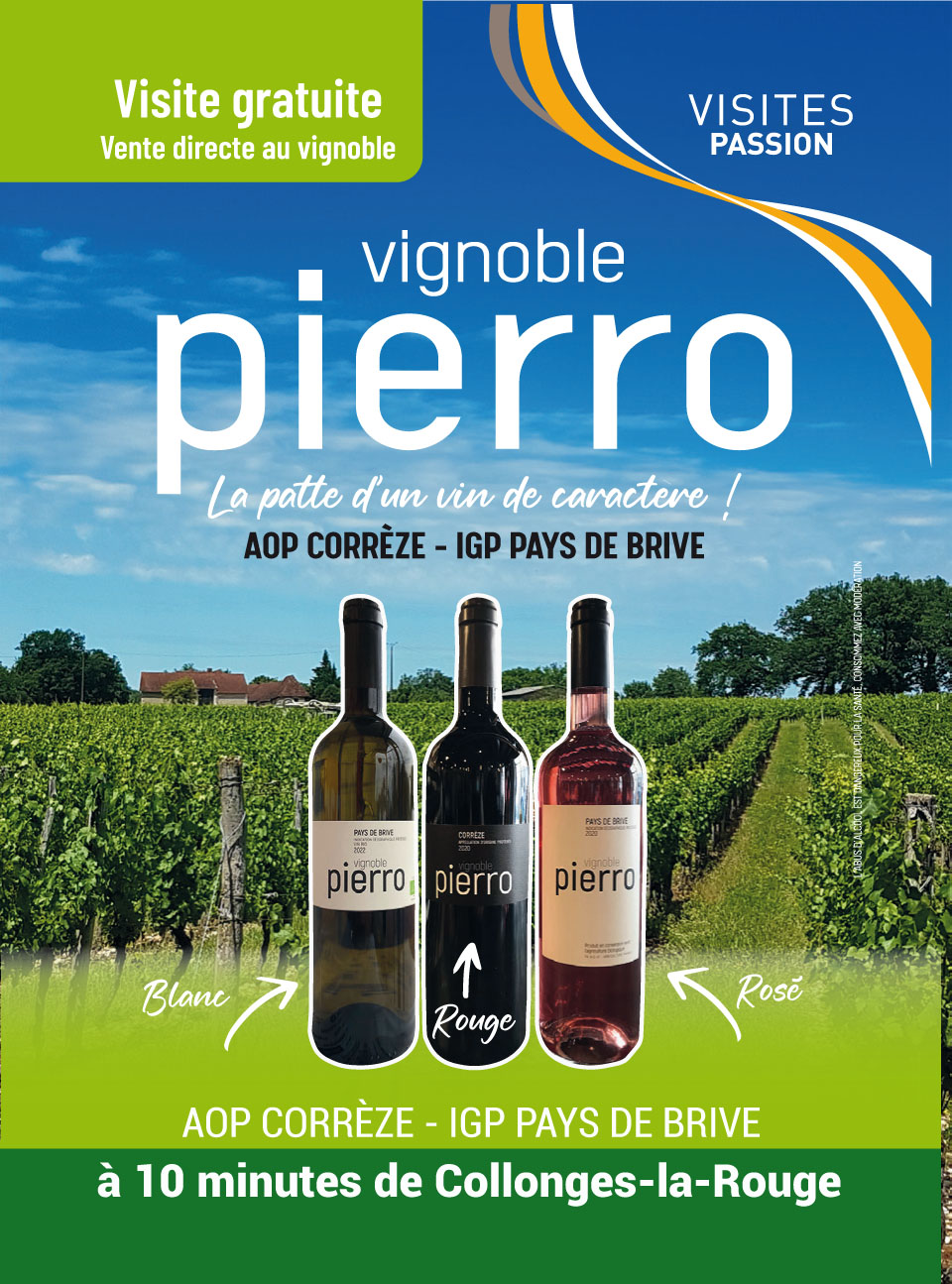 Vignoble pierro