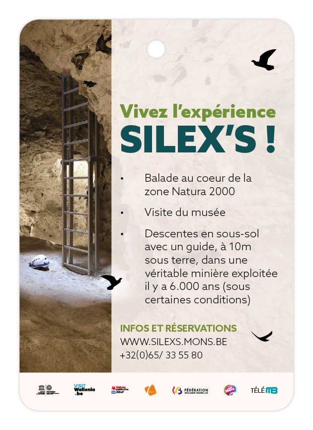 Silex's