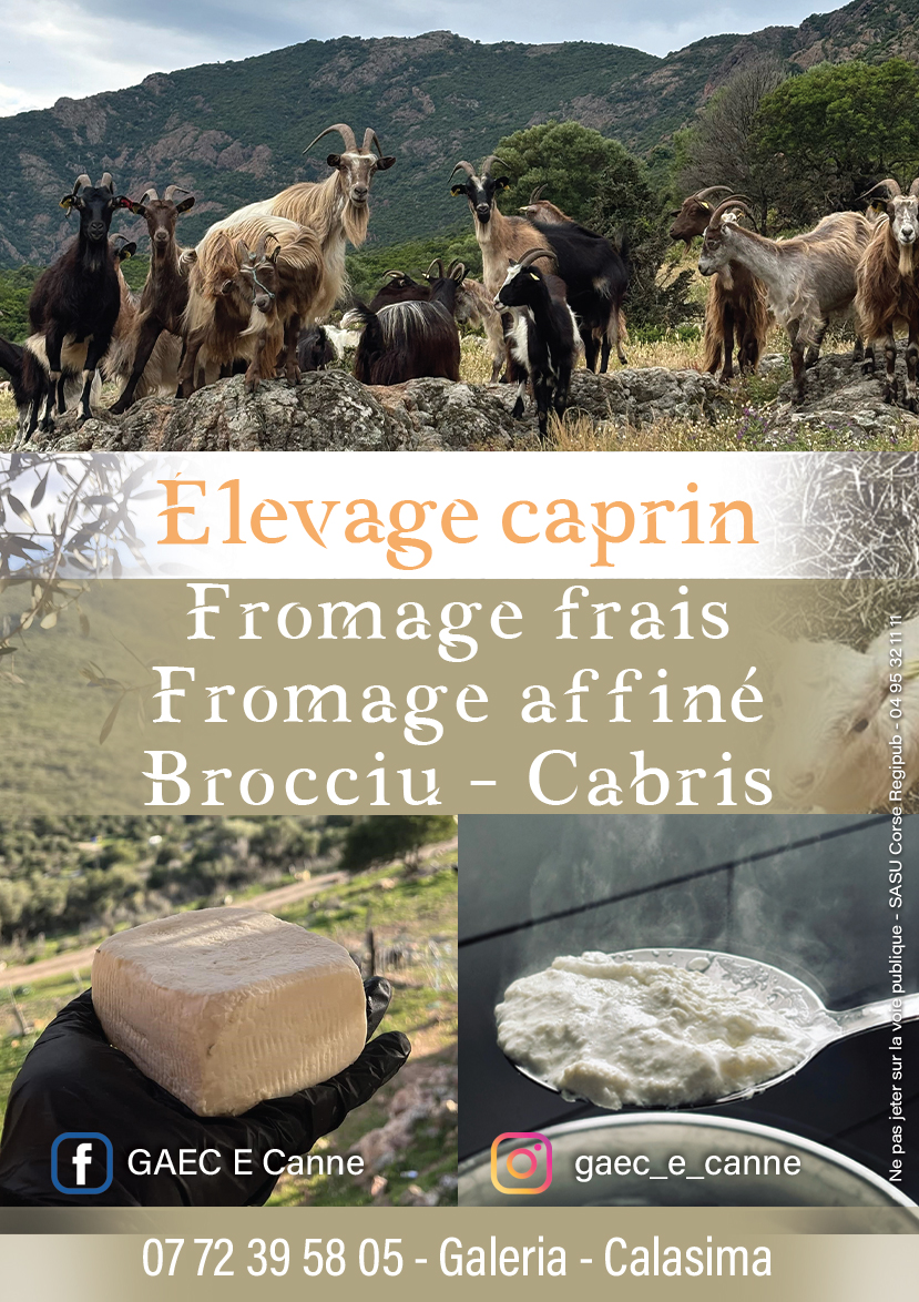 FROMAGERIE E CANNE