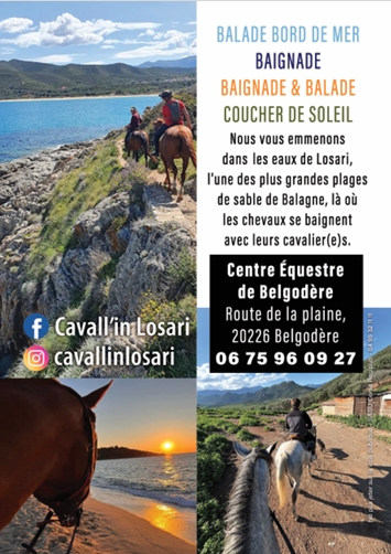 CAVALL'IN LOSARI