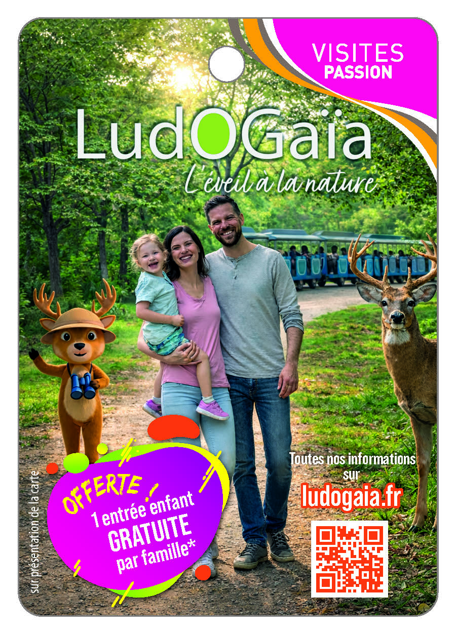 Ludogaia
