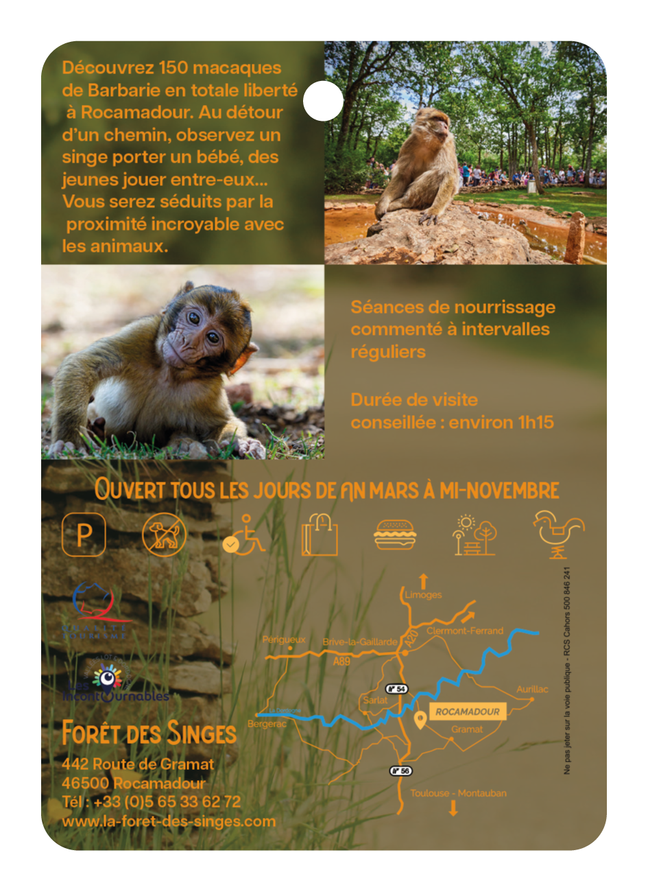 La forêt des singes