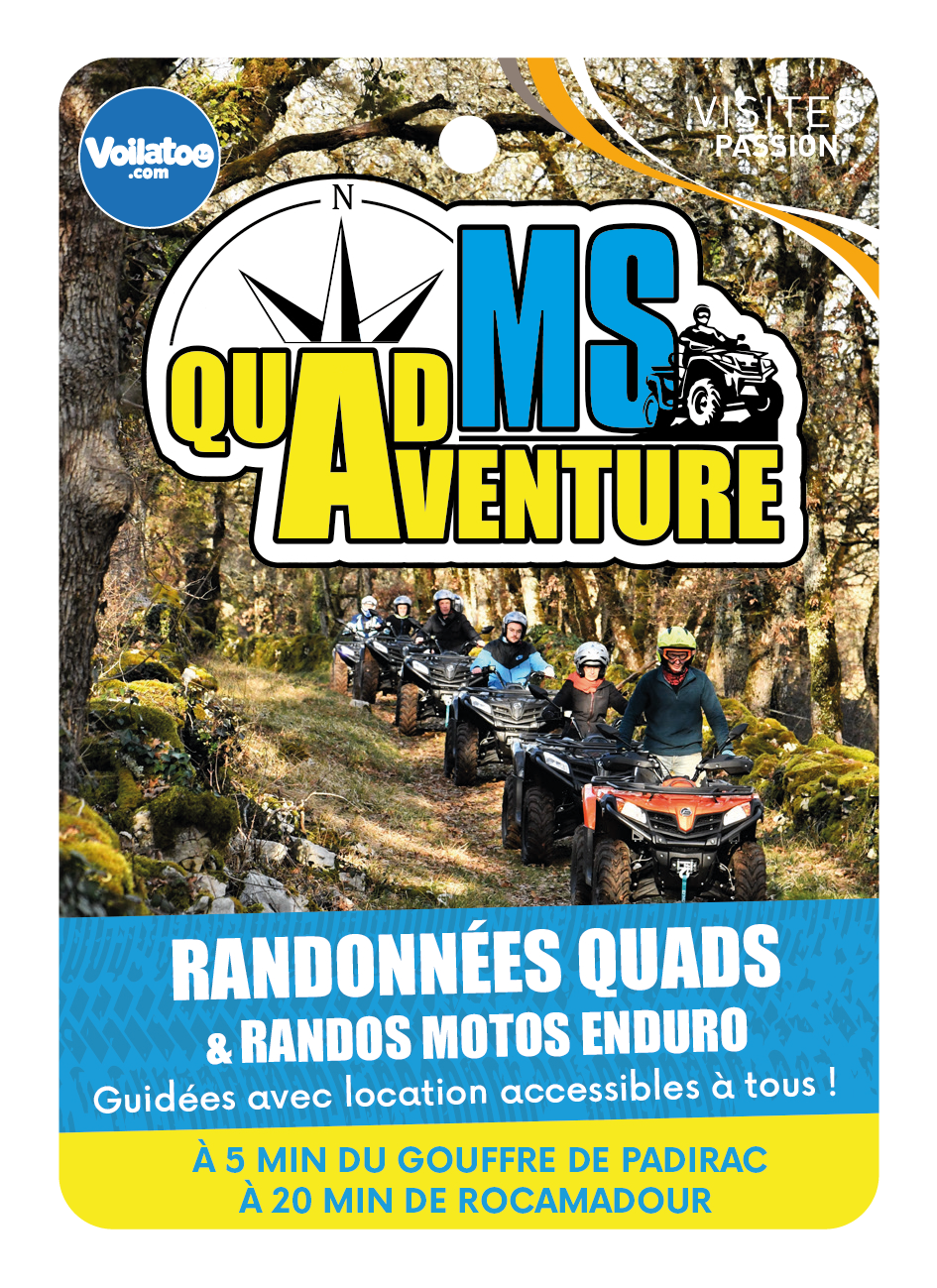 MS QUAD AVENTURE