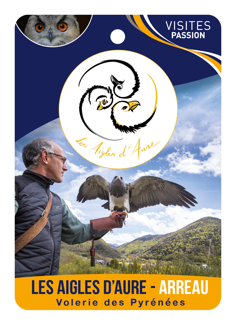 Les Aigles d'Aure